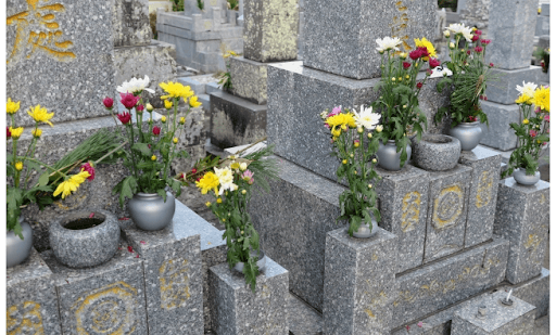 仏花が供えられた墓